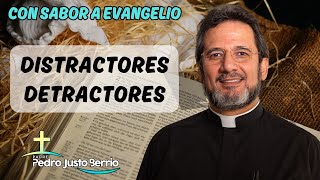 Distractores detractores  Padre Pedro Justo Berrío [upl. by Atterg979]