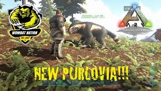 Ark Survival Evolved Ragnarok  PURLOVIA TAME EP17 [upl. by Ofloda493]