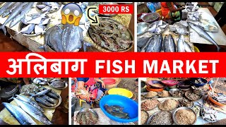 Alibag Fish Market  अलिबाग मासे बाजार  Only Fish Market in Alibag  2020 मच्छी मार्केट  Raigad [upl. by Gawlas]