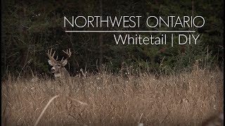 Ontario Whitetail Hunt  DIY  Public Land Deer Hunting [upl. by Nhguaved]