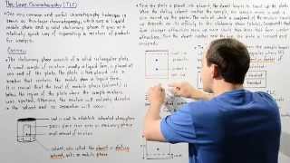 Thin Layer Chromatography and Retention Factor [upl. by Scammon739]