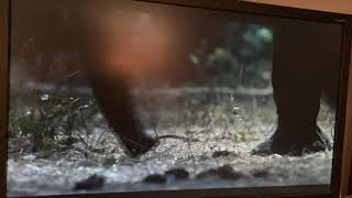 Disneynature Elephant 2020 Elephant herd vs hyena’s and lions￼￼ [upl. by Brown]