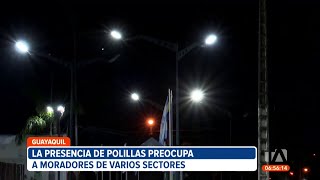 Presencia de polillas en algunos sectores de Guayaquil [upl. by Aydne]