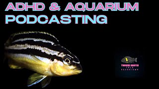 The ups and downs of ADHD amp Aquarium Podcasting Episode 75 [upl. by Heilman19]