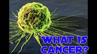 What are Cancer Stem Cells [upl. by Iden]