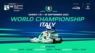 FIA Karting World Championship 2022 Ok  Junior Sunday livestream [upl. by Aikan]