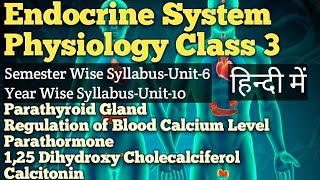 The Endocrine System  Physiology Class 3 BSc NursingNew SyllabusUnit6Old SyllabusUnit10 [upl. by Mireille242]