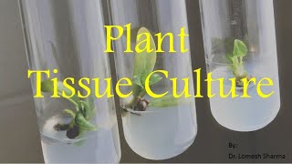 Plant Tissue Culture [upl. by Fasa]