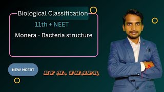 Bacteria Structure Class 11  Monera  NCERT  NEET  Biology [upl. by Korman263]