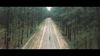 Hollow Coves  The Woods Official Music Video [upl. by Grazia550]