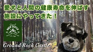 マナとGround Rock Castle（グランドロックキャッスル）にやってきた！【ミニチュアシュナウザーのマナ】 [upl. by Loree]