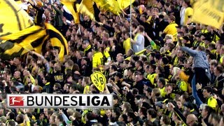 The Great Yellow Wall of Borussia [upl. by Cornall]