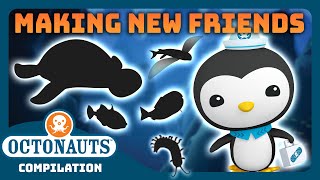 Octonauts  🤗 Making New Friends 🐳  3 Hours Full Episodes Marathon [upl. by Notneiuq759]