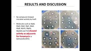 EVALUATION OF OXAZINES AS A POTENTIAL TREATMENT FOR GONORRHEA [upl. by Etnahsal]