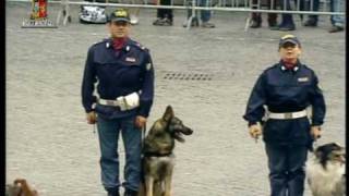 Festa della Polizia 2010 Guarda la dimostrazione delle Unità Cinofila [upl. by Amles798]