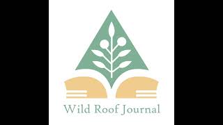 20  Wild Roof Roundtable Discussion [upl. by Tnattirb]