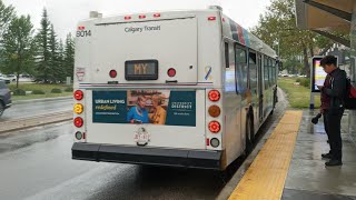 Calgary Transit 2007 New Flyer D40LF 8014 on Route 304 Max Yellow Woodpark [upl. by Eedrahs]