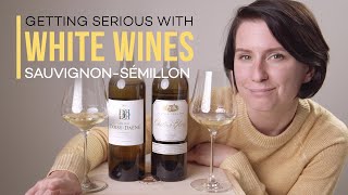 Fine White Wine Sauvignon BlancSémillon  Wine Folly [upl. by Pollux307]