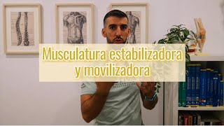 Musculatura estabilizadora y movilizadora ¿Diferencias [upl. by Stillmann]