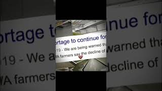 where did Howtobasic use egg without Shortage howtobasic eggs australia short viral [upl. by Rairb]