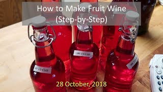 How to Make Fruit Wine Step by Step [upl. by Heisser668]