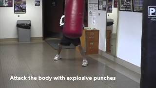 How To Hit The Heavy Bag Pro Mex [upl. by Valery]