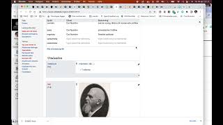 Skapa Wikidata SPARQL med chatGPT [upl. by Assenal]