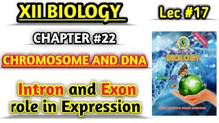 Role of Introns and Exon in Gene Regulation  lec 17 Chromosomes and DNA class 12 [upl. by Airogerg728]