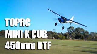 TopRC Mini X Cub 450mm RTF [upl. by Swagerty482]