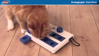 TRIXIE Heimtierbedarf  Cat Activity Strategy Game Brain Mover [upl. by Trenton317]