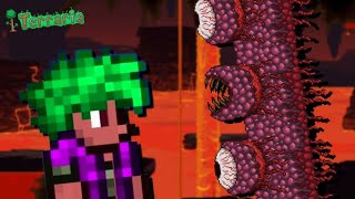 Taking down the Wall of Flesh  Terraria Expert Mode [upl. by Sirak25]