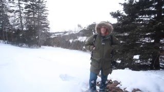 Best Mens winter jacket Helly Hansen Legacy Parka Review [upl. by Koblick629]