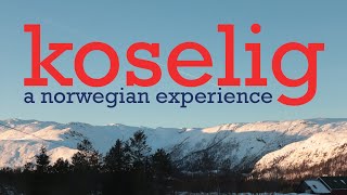 koselig a norwegian experience 🇳🇴 [upl. by Ilac]