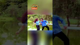 AANKH LARELA  MAYA  BAGANIYA VIDEO SONG nkproduction assam zubeengarg [upl. by Sauls]