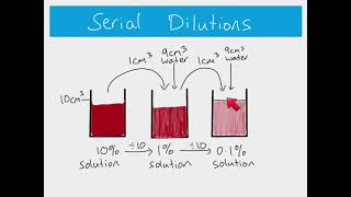 AS Biology  How to calculate serial and simple dilutions [upl. by Orlov175]