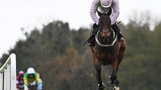 Wow GAELIC WARRIOR batters rivals on chase debut at Punchestown [upl. by Nabois]