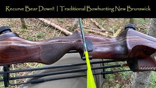 Recurve Bear Down  Traditional Bowhunting New Brunswick [upl. by Neo]