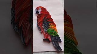 Paper Quilling  Macaw  ytshorts macawparrot parrot quilling shortsfeed shorts youtubeshorts [upl. by Norine375]