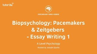 Biopsychology Pacemakers and Zeitgebers Essay Writing 1 [upl. by Ansilme]