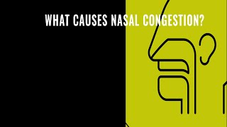 What Causes Nasal Congestion [upl. by Paschasia684]