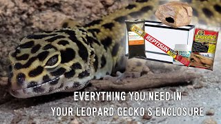 A Beginners Guide to Leopard Gecko Enclosures  Tanks Lighting Heating and more [upl. by Hartnett]