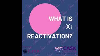 What is Xi reactivation [upl. by Erret]