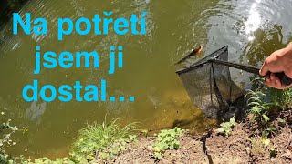 Krátká vycházka PŘÍVLAČ  ŠTIKU jsem dostal na potřetí 🐋🎣 [upl. by Archangel]