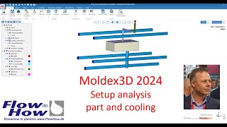 Moldex3D 2024 Setup analysis with cooling [upl. by Justis491]