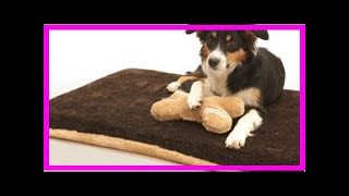 Hundebetten Test Kuschelmatte Visko deLuxe [upl. by Kippie246]