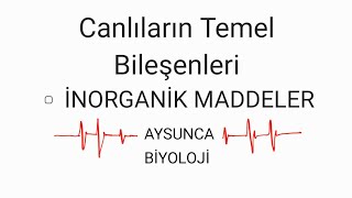 CANLILARIN TEMEL BİLEŞENLERİ İNORGANİK MADDELER TYT [upl. by Robi791]