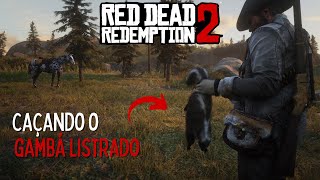 Você só encontra À NOITE localização no mapa  Red Dead Redemption 2 COMPÊNDIO 131 [upl. by Zindman]