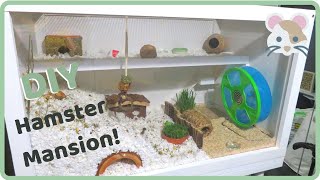 DIY HAMSTER CAGE TUTORIAL 900 square inches [upl. by Merrili720]