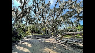 Skidaway Island State Park SD 480p [upl. by Macilroy]