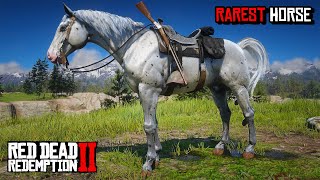 All 5 Rare Appaloosa Horses Location amp Rankings  RDR 2 [upl. by Richer]